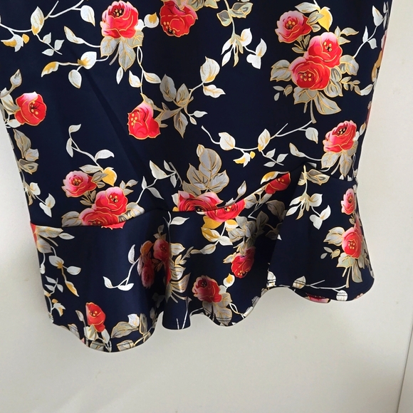 Alexa B Nites dress size petite 14P - Picture 3 of 5